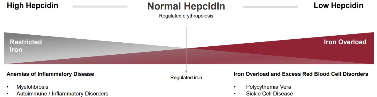 img235988888_13.jpg