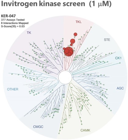 kros-20201231_g22.jpg