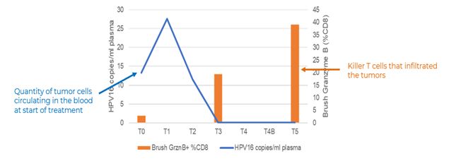 graphic
