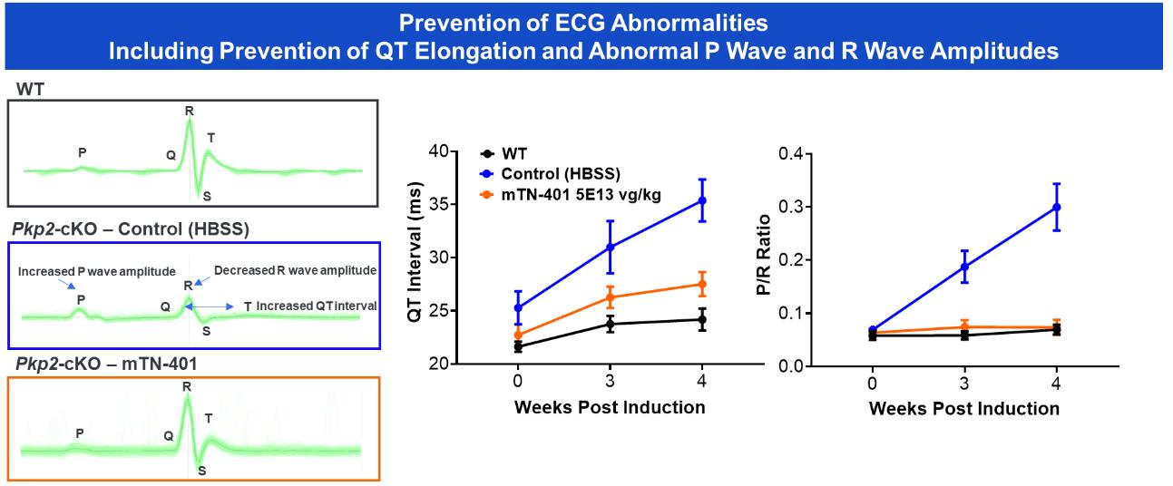 img251112616_36.jpg