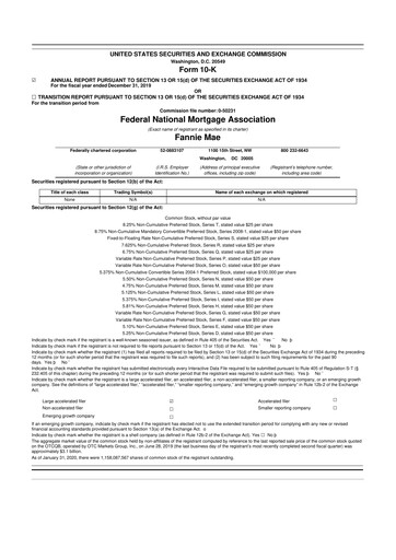 Miniature Fannie Mae
 10-K Rapport annuel 2019