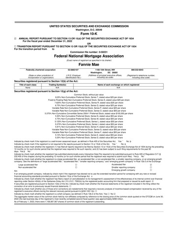 Miniature Fannie Mae
 10-K Rapport annuel 2022