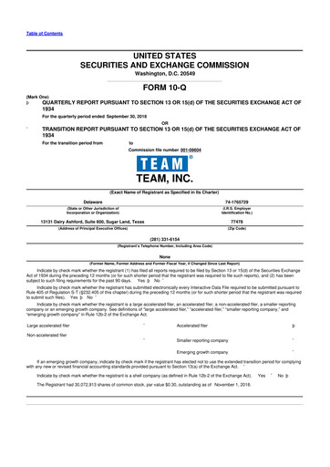 Thumbnail Team Inc 10-Q Quarterly Report FY2018 