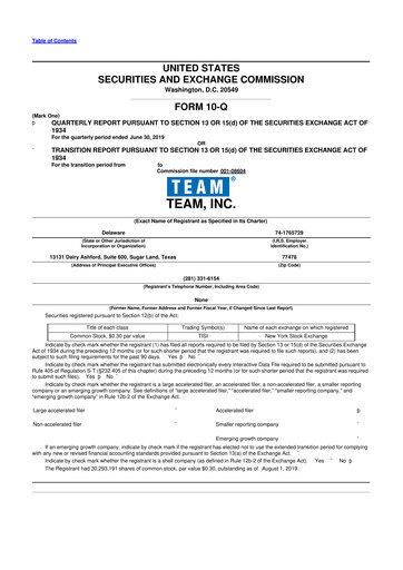 Thumbnail Team Inc 10-Q Quarterly Report FY2019 