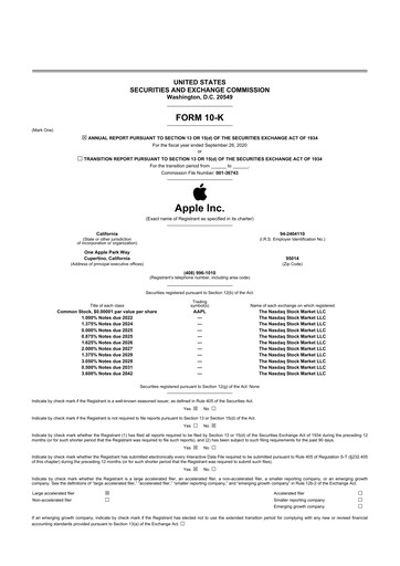 Thumbnail Apple 10-K Annual Report 2020