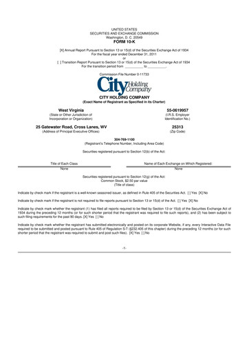 Thumbnail City Holding Company 10-K Annual Report 2011