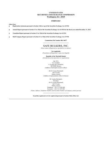 Thumbnail Safe Bulkers
 20-F Annual Report 2013