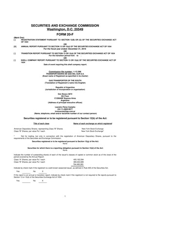 Thumbnail Transportadora de Gas del Sur 20-F Annual Report 