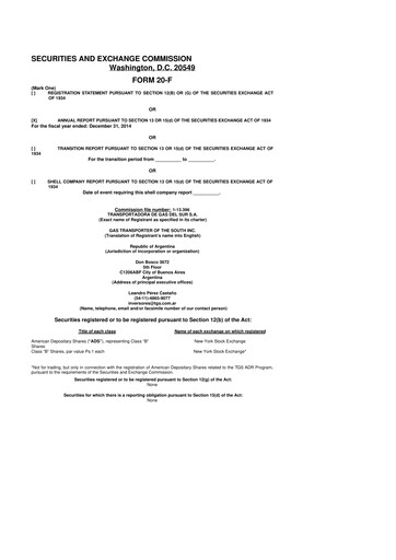 Thumbnail Transportadora de Gas del Sur 20-F Annual Report 