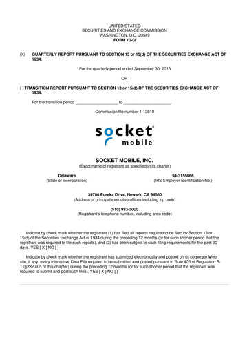 Miniature Socket Mobile 10-Q Rapport trimestriel 2013 