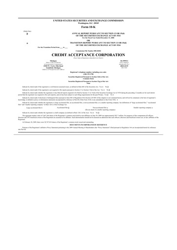 Thumbnail Credit Acceptance
 10-K Annual Report 