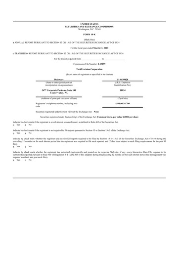 Thumbnail TechPrecision 10-K Annual Report 2013