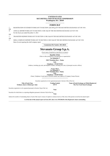 Vorschaubild Stevanato Group 20-F Jahresbericht 