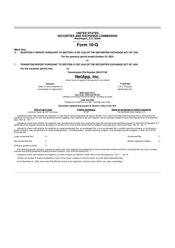 Thumbnail NetApp
 10-Q Quarterly Report FY2025 