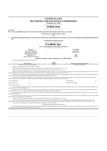 Vorschaubild CeriBell 10-K Jahresbericht 2024