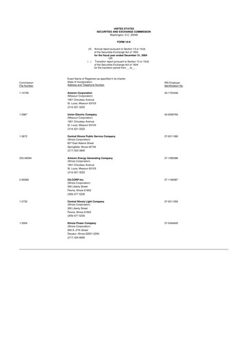 Miniature Ameren
 10-K Rapport annuel 