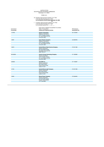 Thumbnail Ameren
 10-Q Quarterly Report FY 