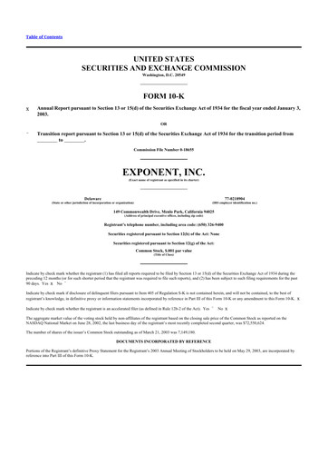 Thumbnail Exponent
 10-K Annual Report 