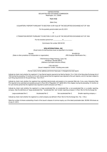 Thumbnail Paysign 10-Q Quarterly Report FY2013 