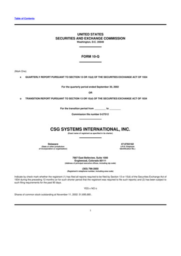 Thumbnail CSG International
 10-Q Quarterly Report FY 