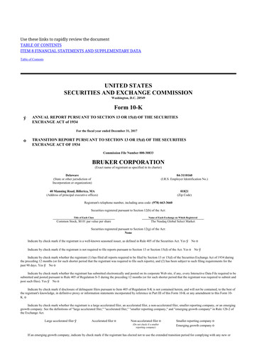 Thumbnail Bruker 10-K Annual Report 2017