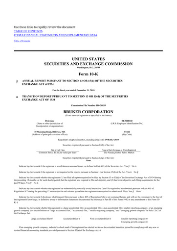 Thumbnail Bruker 10-K Annual Report 2018