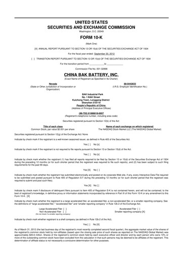 Miniature CBAK Energy Technology 10-K Rapport annuel 2012