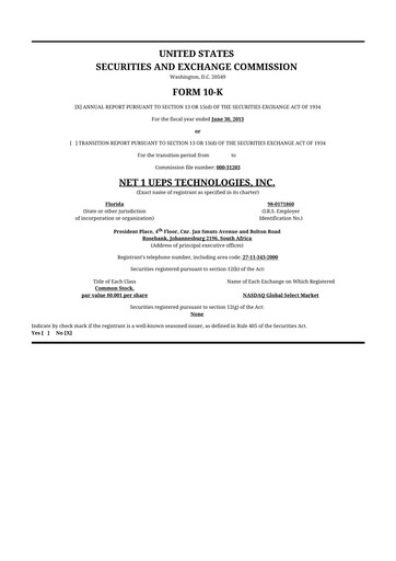 Thumbnail Lesaka Technologies 10-K Annual Report 2013