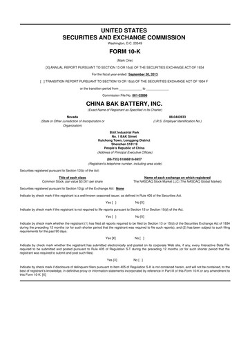 Miniature CBAK Energy Technology 10-K Rapport annuel 2013