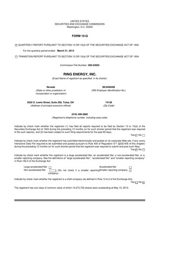 Miniature Ring Energy
 10-Q Rapport trimestriel 2013 