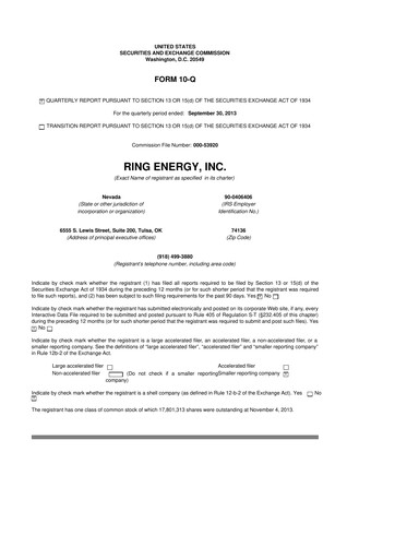 Miniature Ring Energy
 10-Q Rapport trimestriel 2013 