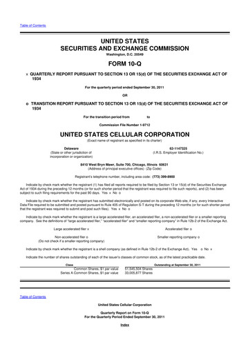 Thumbnail Array Digital Infrastructure 10-Q Quarterly Report FY2011 