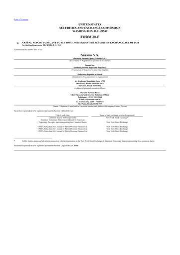 Thumbnail Suzano 20-F Annual Report 2018