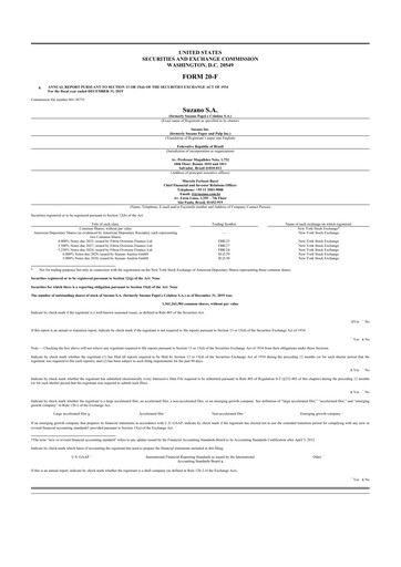 Thumbnail Suzano 20-F Annual Report 2019