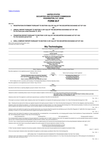 Vorschaubild Niu Technologies 20-F Jahresbericht 2019