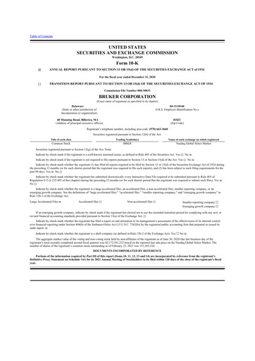 Thumbnail Bruker 10-K Annual Report 2020