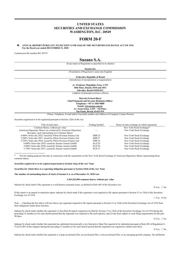 Thumbnail Suzano 20-F Annual Report 2020