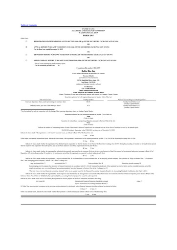 Thumbnail Belite Bio 20-F Annual Report 2022