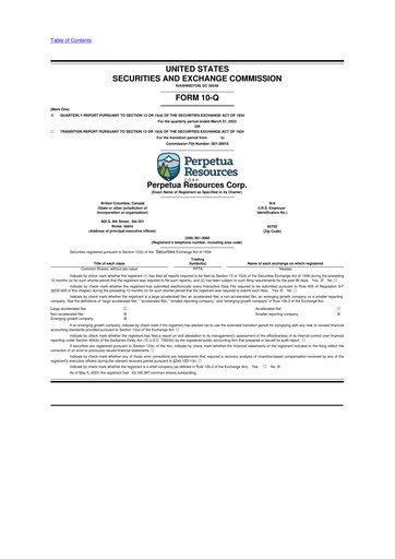 Miniature Perpetua Resources 10-Q Rapport trimestriel  