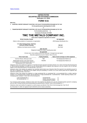 Vorschaubild The Metals Company 10-Q Quartalsbericht 2025 