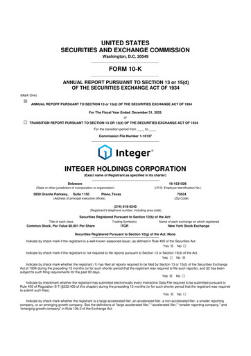 Miniature Integer Holdings
 10-K Rapport annuel 2025