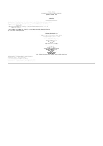 Thumbnail Tanzanian Gold Corporation 20-F Annual Report 