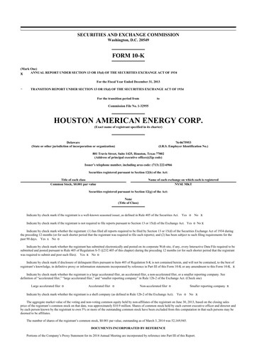 Thumbnail Houston American Energy 10-K Annual Report 2013