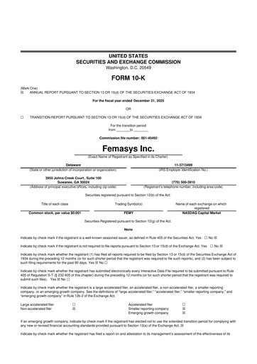 Miniature Femasys 10-K Rapport annuel 2025