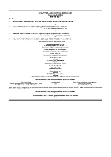 Thumbnail Transportadora de Gas del Sur 20-F Annual Report 