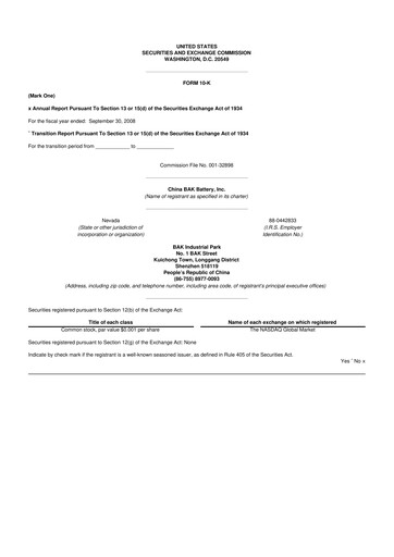 Miniature CBAK Energy Technology 10-K Rapport annuel 