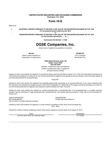 Vorschaubild Envela Corporation 10-Q Quartalsbericht 2013 