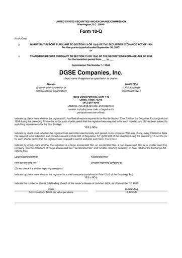 Vorschaubild Envela Corporation 10-Q Quartalsbericht 2013 