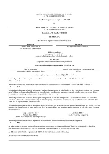 Thumbnail Cemtrex 10-K Annual Report 2013