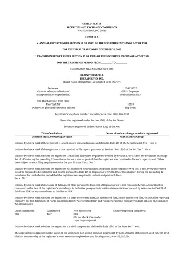 Vorschaubild BrainStorm Cell Therapeutics 10-K Jahresbericht 2013